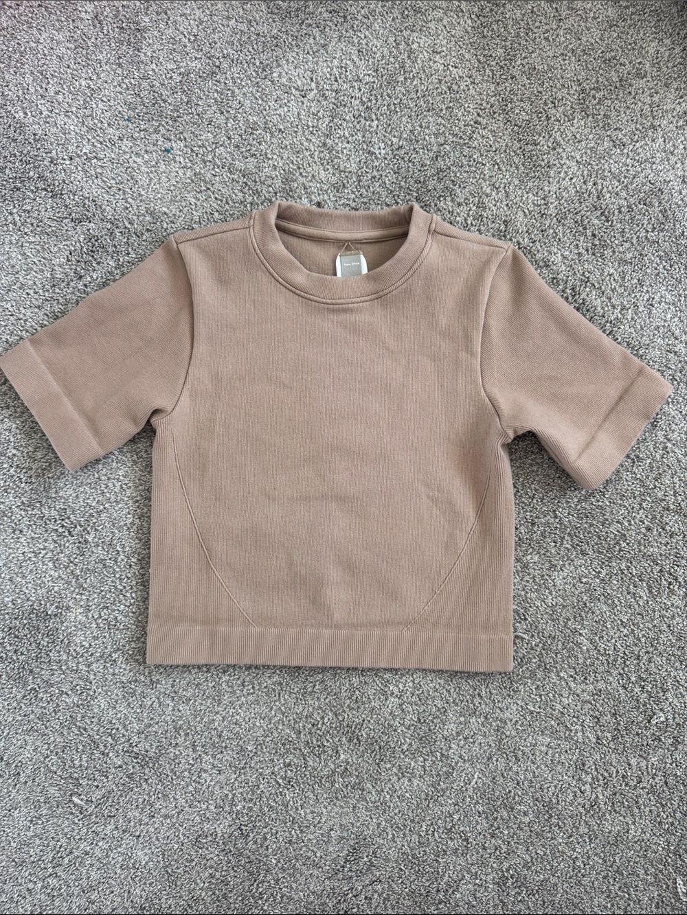 Everlane Fine Rib Knit Short Sleeve Top Taupe | XS/S | Minimalist